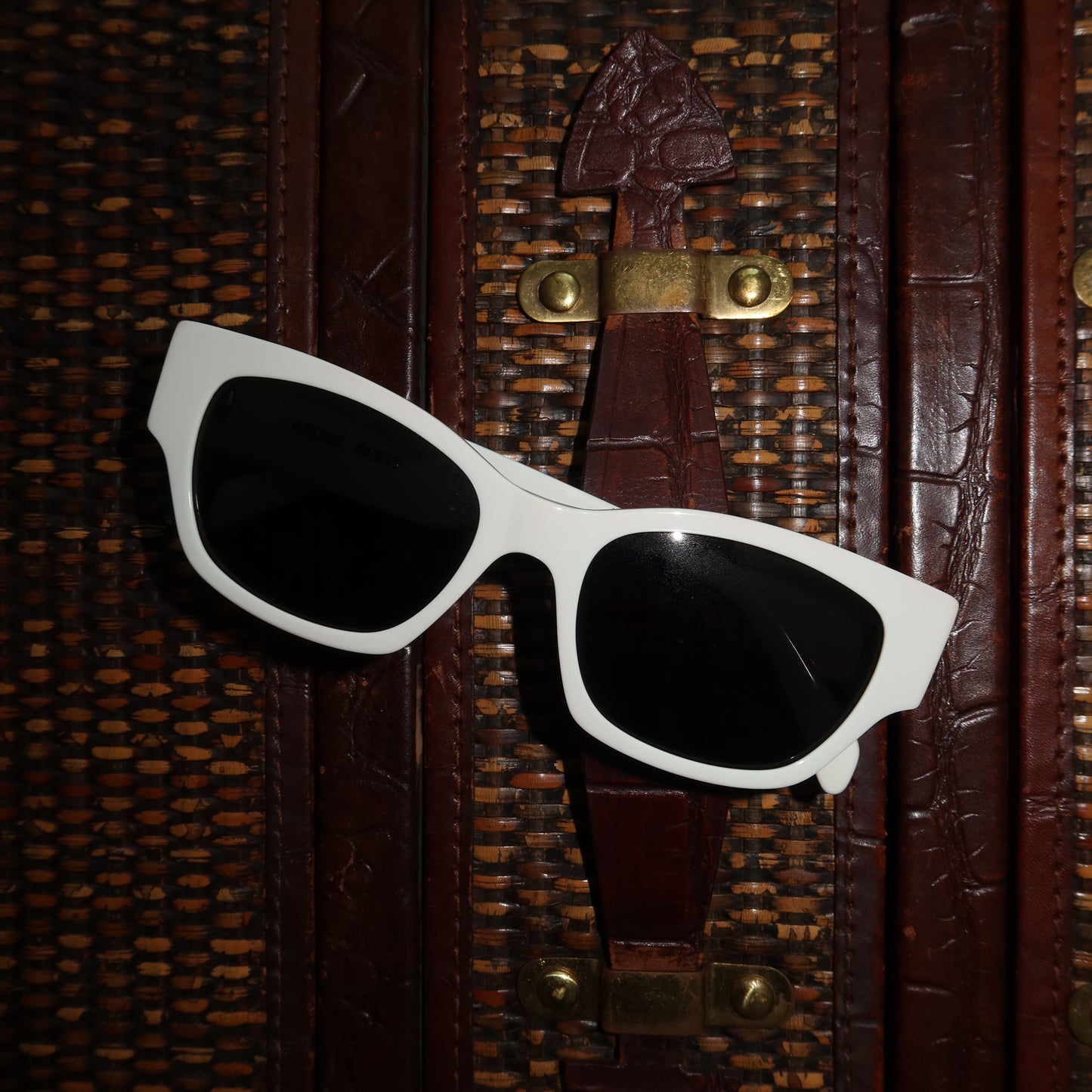 Celine Wayfarer Tinted Sunglasses