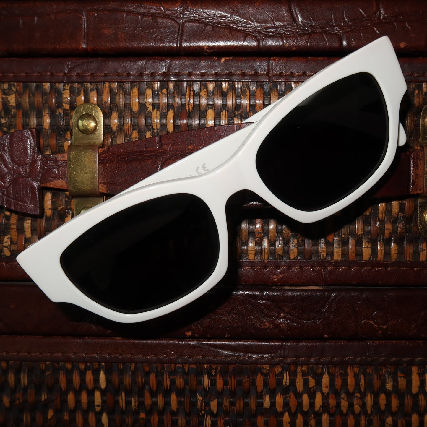 Celine Wayfarer Tinted Sunglasses