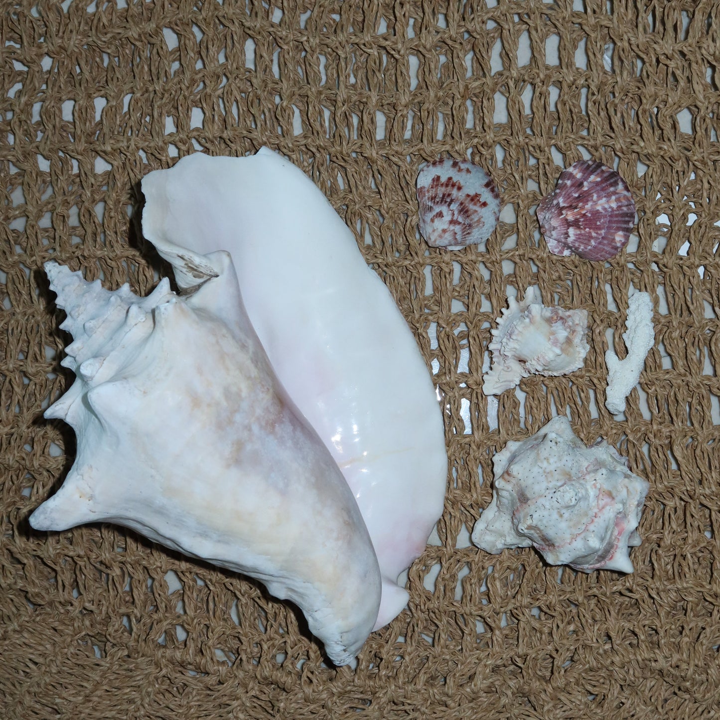 Vitamin A Raffia Bag